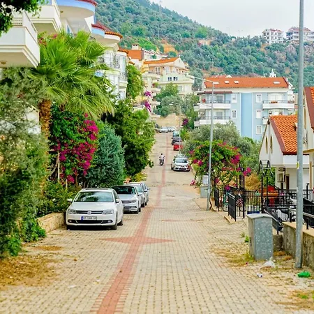 Zeze Kas