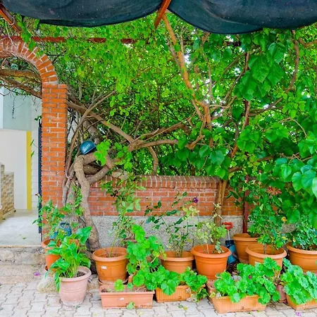 Zeze Apartamento Kaş